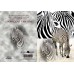 ZOO GREETING CARD Stripes